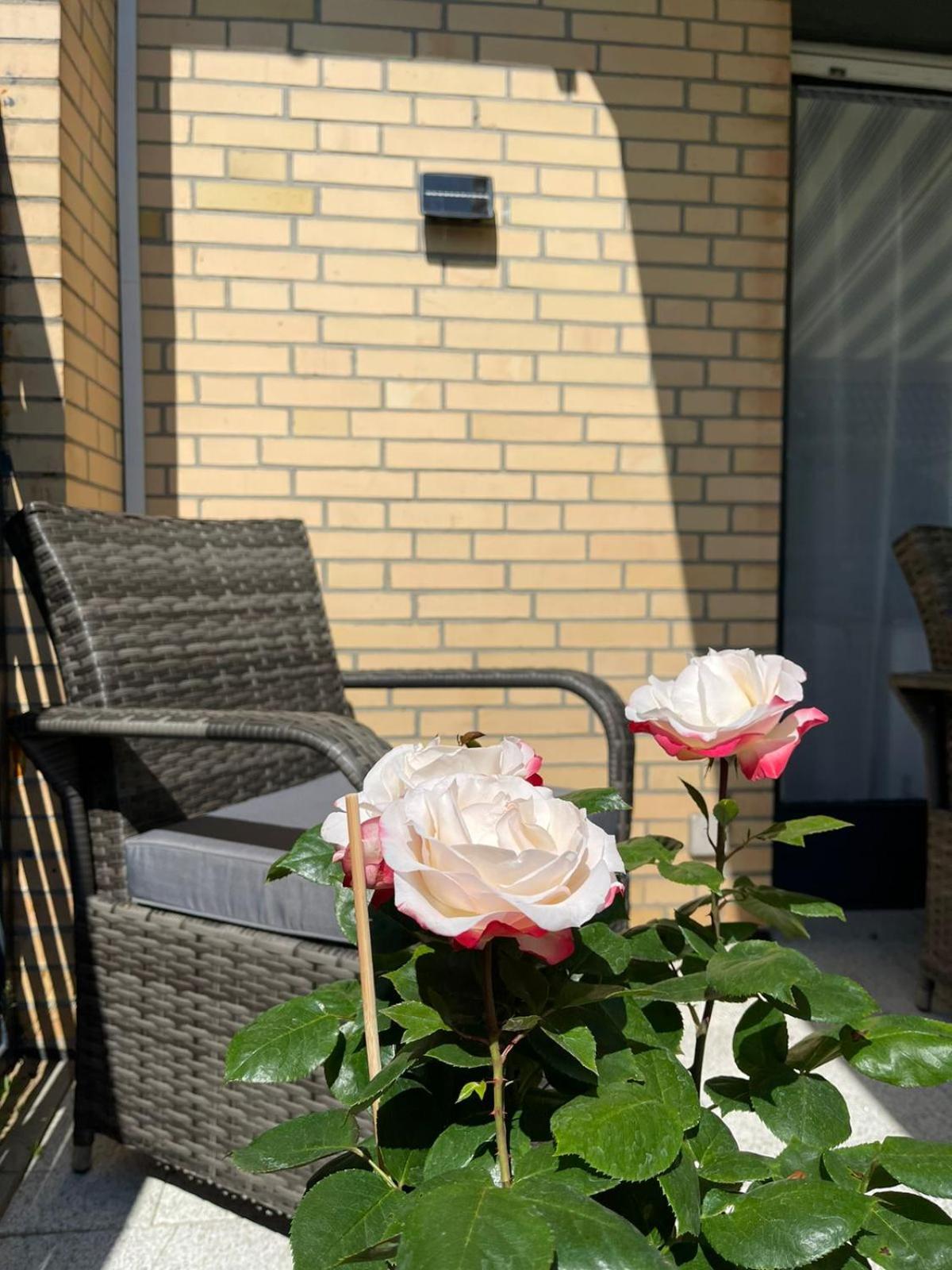 Ferienwohnung Strandoase Inklusive Terrasse Und Parkplatz - Sonnenseite Scharbeutz Bagian luar foto